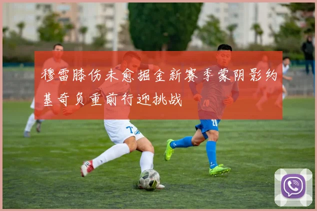 穆雷膝伤未愈掘金新赛季蒙阴影约基奇负重前行迎挑战