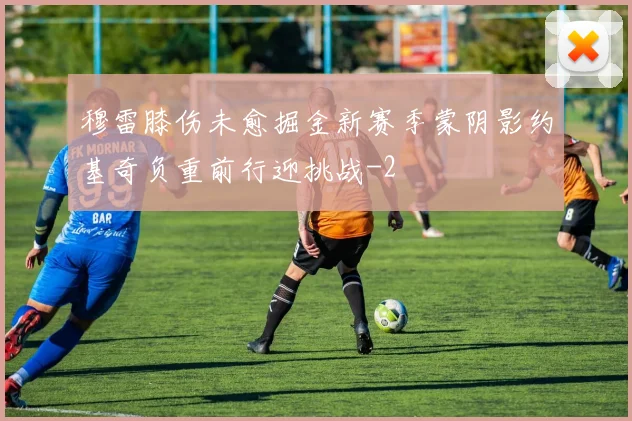 穆雷膝伤未愈掘金新赛季蒙阴影约基奇负重前行迎挑战